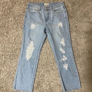 Skinny Fries distressed mom jeans